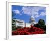 Capitol Building, Washington, D.C., USA-null-Framed Photographic Print