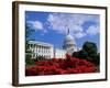 Capitol Building, Washington, D.C., USA-null-Framed Photographic Print