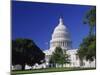 Capitol Building, Washington, D.C., USA-null-Mounted Photographic Print