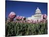 Capitol Building, Washington, D.C., USA-null-Stretched Canvas