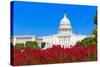 Capitol Building Washington DC Pink Flowers Garden USA Congress US-holbox-Stretched Canvas