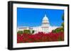 Capitol Building Washington DC Pink Flowers Garden USA Congress US-holbox-Framed Photographic Print