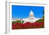 Capitol Building Washington DC Pink Flowers Garden USA Congress US-holbox-Framed Photographic Print