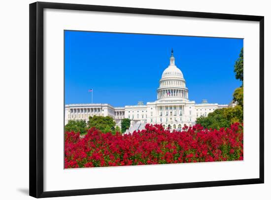 Capitol Building Washington DC Pink Flowers Garden USA Congress US-holbox-Framed Photographic Print