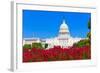 Capitol Building Washington DC Pink Flowers Garden USA Congress US-holbox-Framed Photographic Print