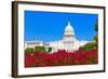 Capitol Building Washington DC Pink Flowers Garden USA Congress US-holbox-Framed Photographic Print