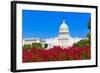 Capitol Building Washington DC Pink Flowers Garden USA Congress US-holbox-Framed Photographic Print
