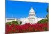 Capitol Building Washington DC Pink Flowers Garden USA Congress US-holbox-Mounted Photographic Print