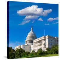 Capitol Building Washington DC Sunlight Day USA US Congress-holbox-Stretched Canvas