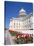 Capitol Building, Washington Dc, USA-I Vanderharst-Stretched Canvas