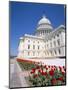 Capitol Building, Washington Dc, USA-I Vanderharst-Mounted Photographic Print