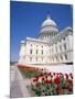 Capitol Building, Washington Dc, USA-I Vanderharst-Mounted Photographic Print