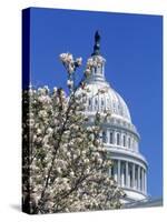 Capitol Building, Washington, DC-Mark Gibson-Stretched Canvas