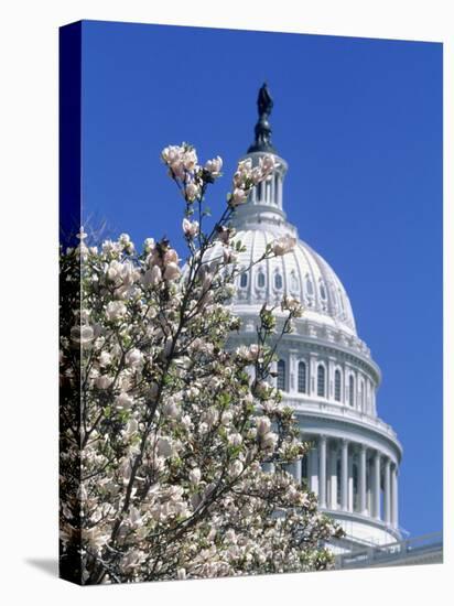 Capitol Building, Washington, DC-Mark Gibson-Stretched Canvas