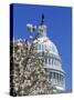 Capitol Building, Washington, DC-Mark Gibson-Stretched Canvas