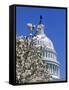Capitol Building, Washington, DC-Mark Gibson-Framed Stretched Canvas