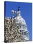 Capitol Building, Washington, DC-Mark Gibson-Stretched Canvas