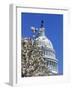 Capitol Building, Washington, DC-Mark Gibson-Framed Photographic Print