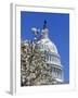 Capitol Building, Washington, DC-Mark Gibson-Framed Photographic Print