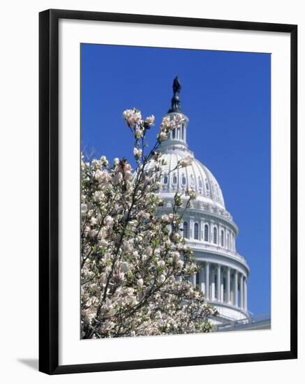 Capitol Building, Washington, DC-Mark Gibson-Framed Photographic Print