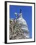 Capitol Building, Washington, DC-Mark Gibson-Framed Photographic Print