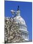 Capitol Building, Washington, DC-Mark Gibson-Mounted Photographic Print