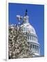 Capitol Building, Washington, DC-Mark Gibson-Framed Photographic Print