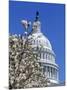 Capitol Building, Washington, DC-Mark Gibson-Mounted Photographic Print