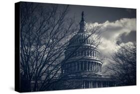 Capitol Building Washington DC-null-Stretched Canvas