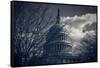 Capitol Building Washington DC-null-Framed Stretched Canvas