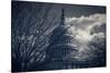 Capitol Building Washington DC-null-Stretched Canvas