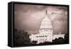 Capitol Building with Dramatic Cloudy Sky - Washington Dc, United States-Orhan-Framed Stretched Canvas