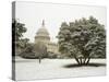 Capitol Building-Rudy Sulgan-Stretched Canvas