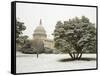 Capitol Building-Rudy Sulgan-Framed Stretched Canvas