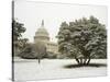 Capitol Building-Rudy Sulgan-Stretched Canvas