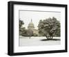 Capitol Building-Rudy Sulgan-Framed Photographic Print