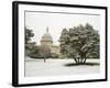 Capitol Building-Rudy Sulgan-Framed Photographic Print