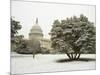 Capitol Building-Rudy Sulgan-Mounted Photographic Print
