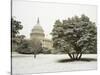 Capitol Building-Rudy Sulgan-Stretched Canvas