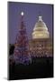 Capitol Christmas Tree at Dusk in Front of U.S. Capitol, Washington D.C.-Joseph Sohm-Mounted Photographic Print