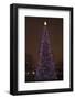 Capitol Christmas Tree at Dusk in Front of U.S. Capitol, Washington D.C.-Joseph Sohm-Framed Photographic Print