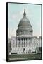 Capitol Dome-null-Framed Stretched Canvas