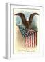 Capitol, Eagle and Flag-null-Framed Art Print