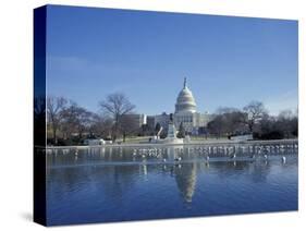 Capitol from across Capitol Reflecting Pool, Washington DC, USA-Michele Molinari-Stretched Canvas