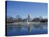 Capitol from across Capitol Reflecting Pool, Washington DC, USA-Michele Molinari-Stretched Canvas