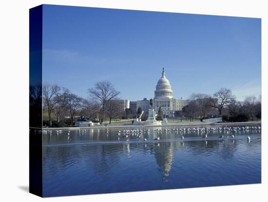 Capitol from across Capitol Reflecting Pool, Washington DC, USA-Michele Molinari-Stretched Canvas