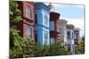 Capitol Hill, Washington-Tupungato-Mounted Photographic Print