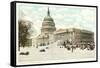 Capitol in Winter, Washington D.C.-null-Framed Stretched Canvas