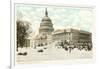 Capitol in Winter, Washington D.C.-null-Framed Art Print