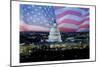 Capitol Pride-Marcus Prime-Mounted Premium Giclee Print